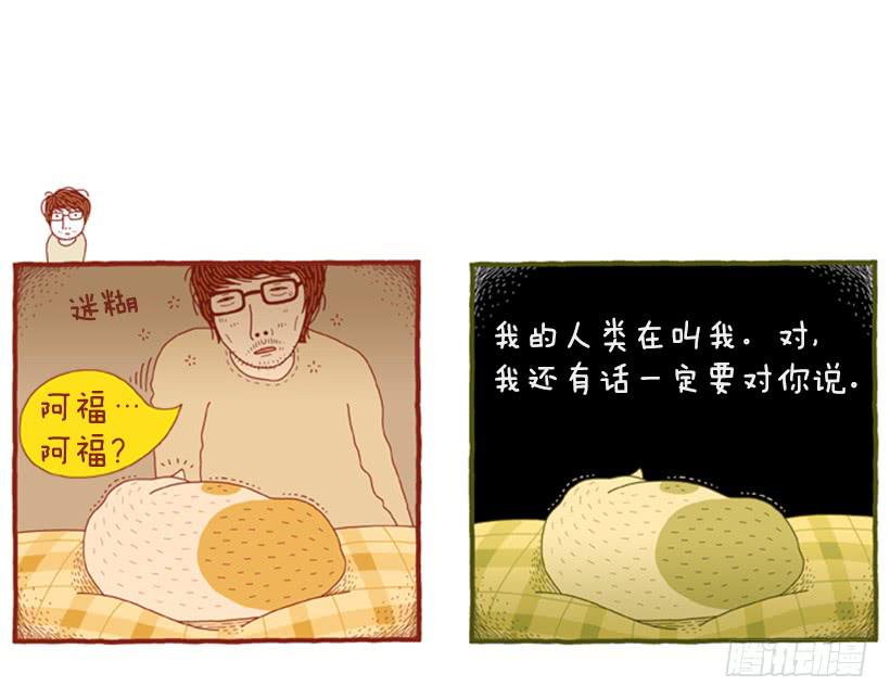 恬静深沉的梦39