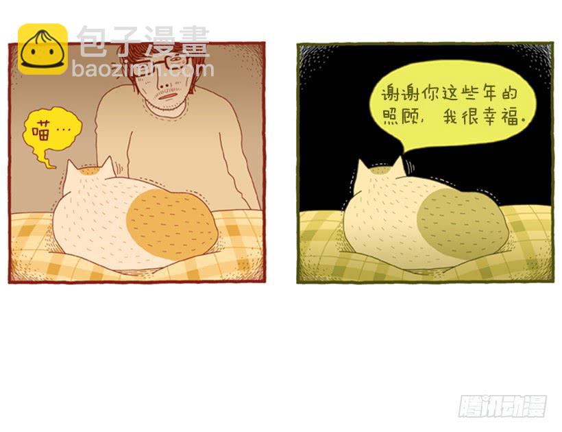 恬静深沉的梦40