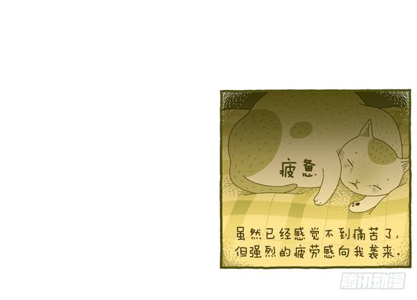 恬静深沉的梦41