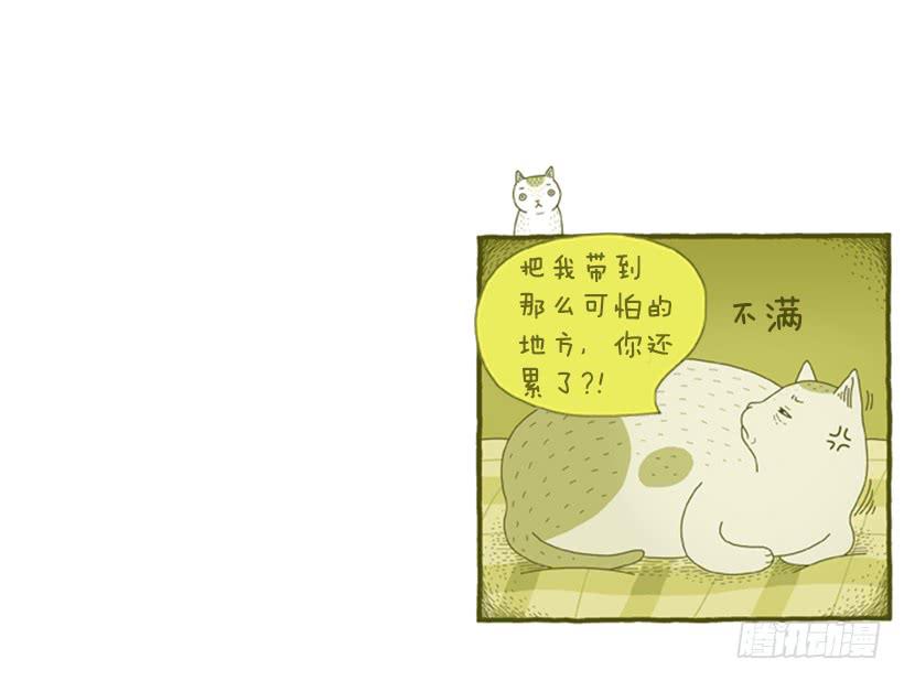 恬静深沉的梦8