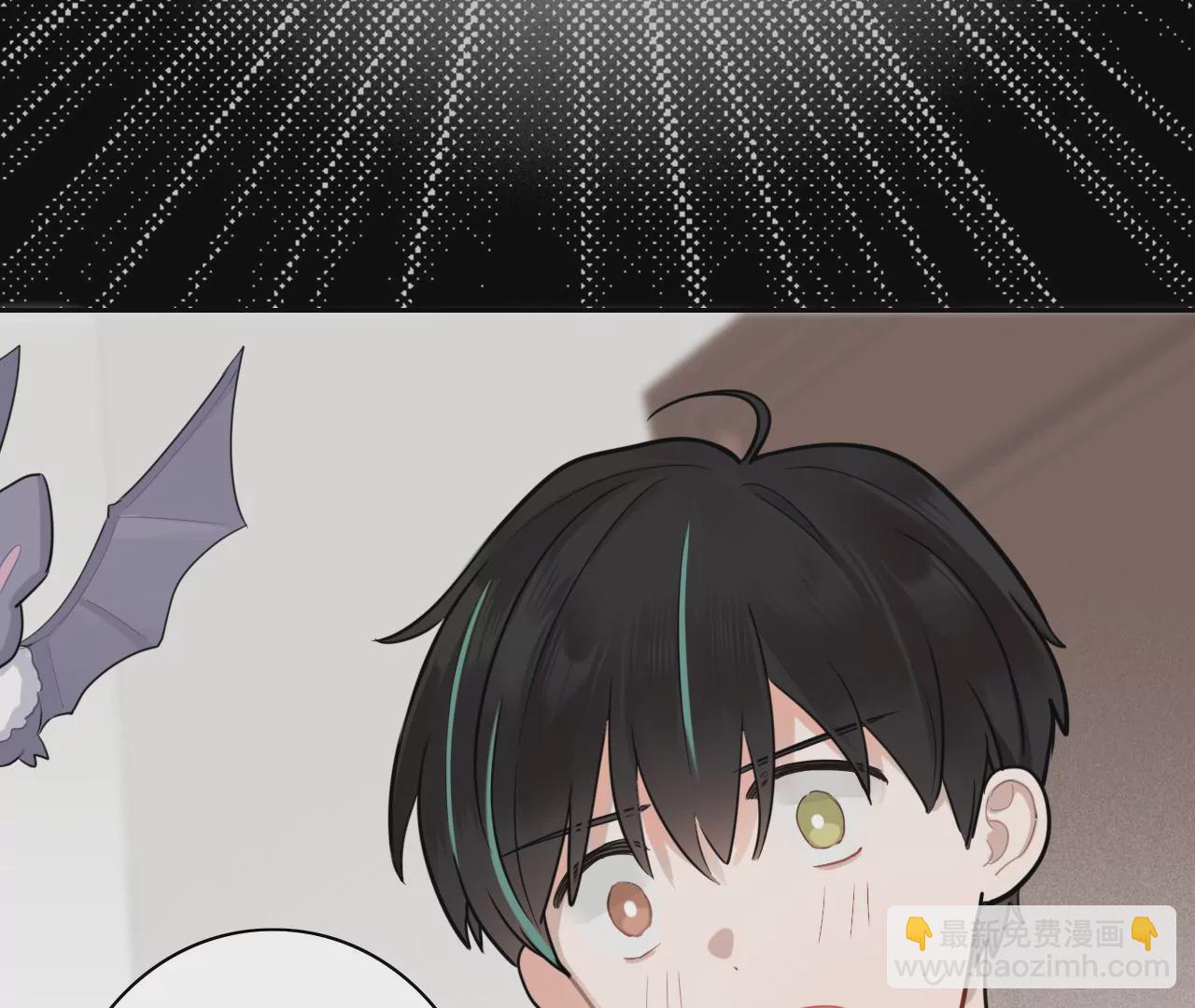 变回小熊？43