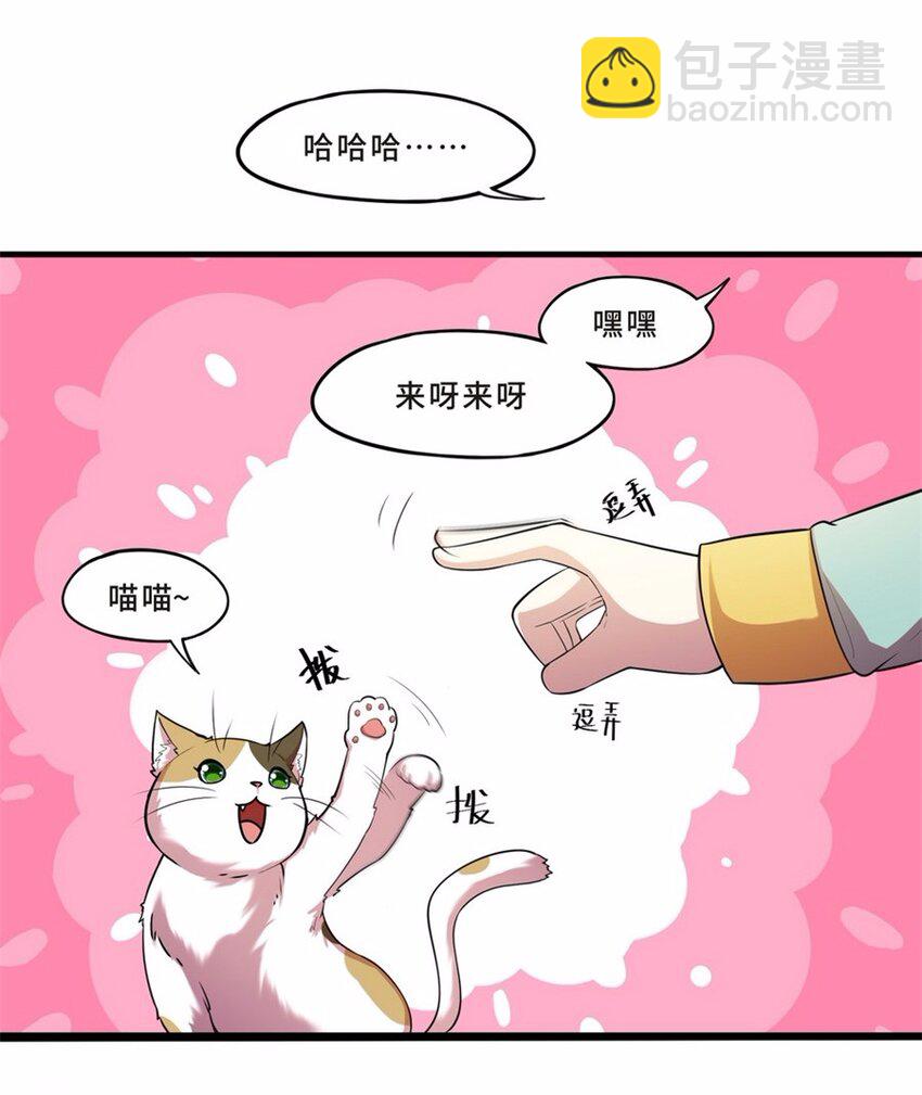 043 养猫（三）2
