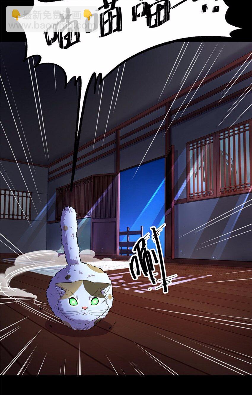 043 养猫（三）25