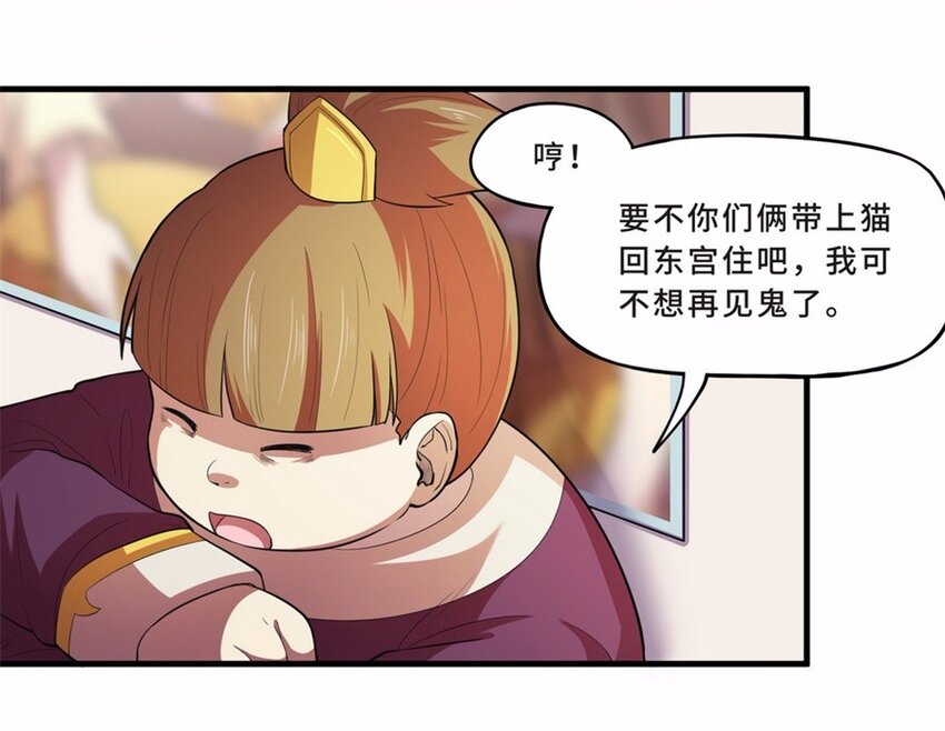 043 养猫（三）7