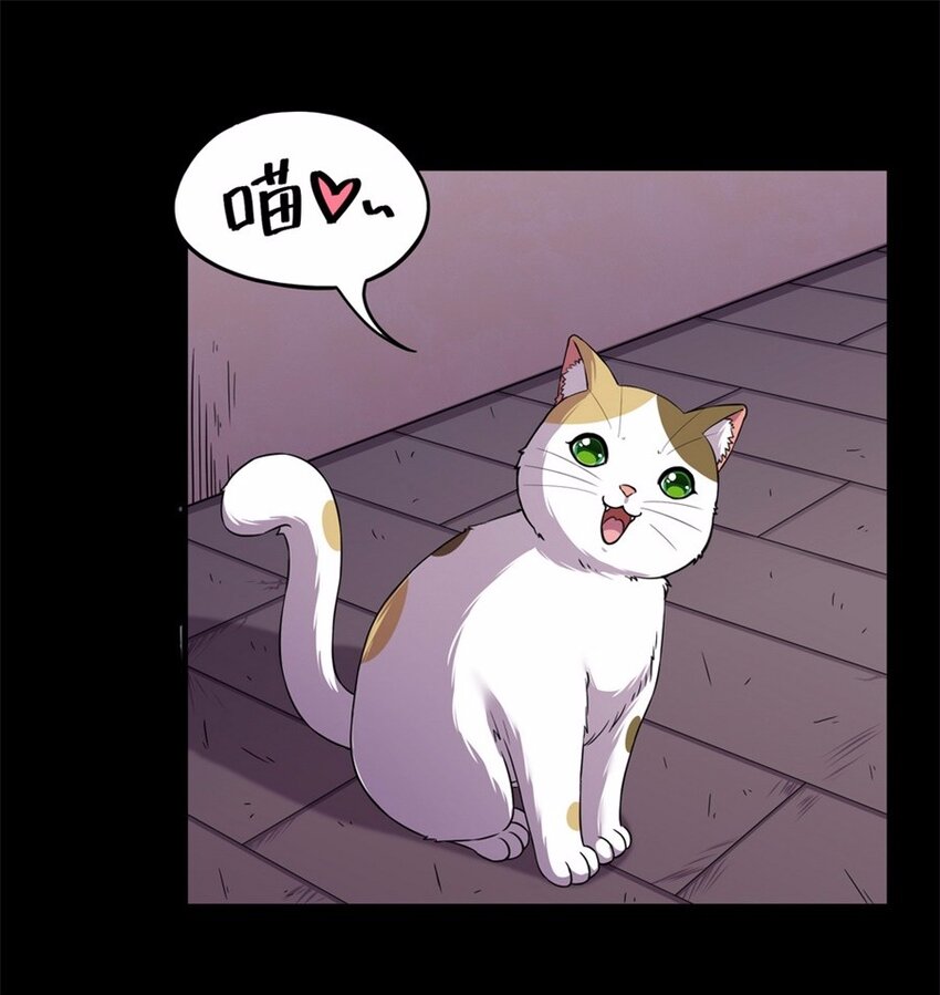 044 养猫（四）27