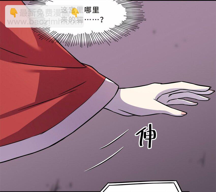 044 养猫（四）29