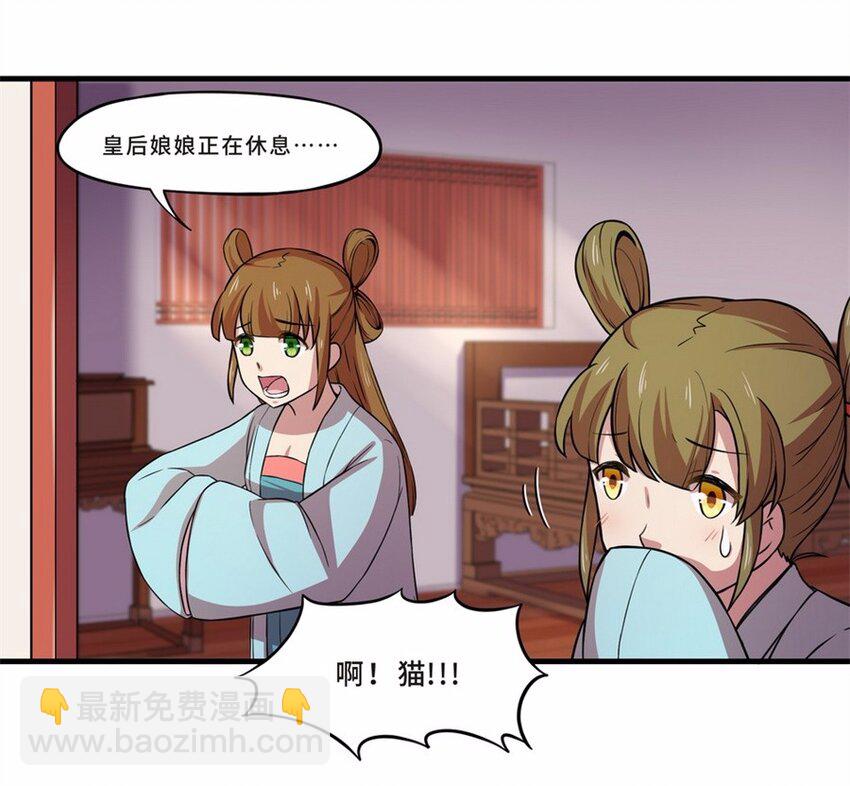044 养猫（四）3