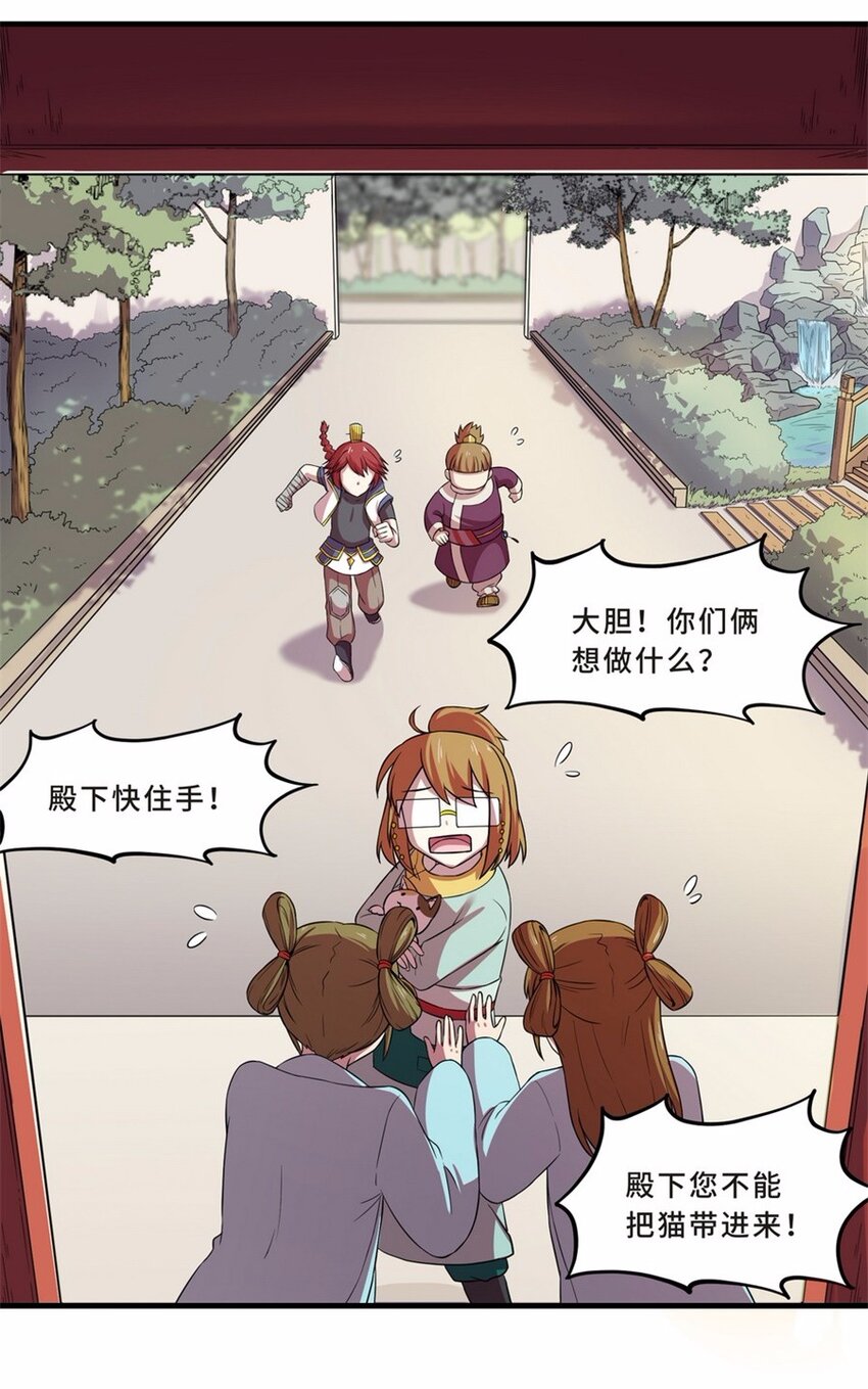 044 养猫（四）4