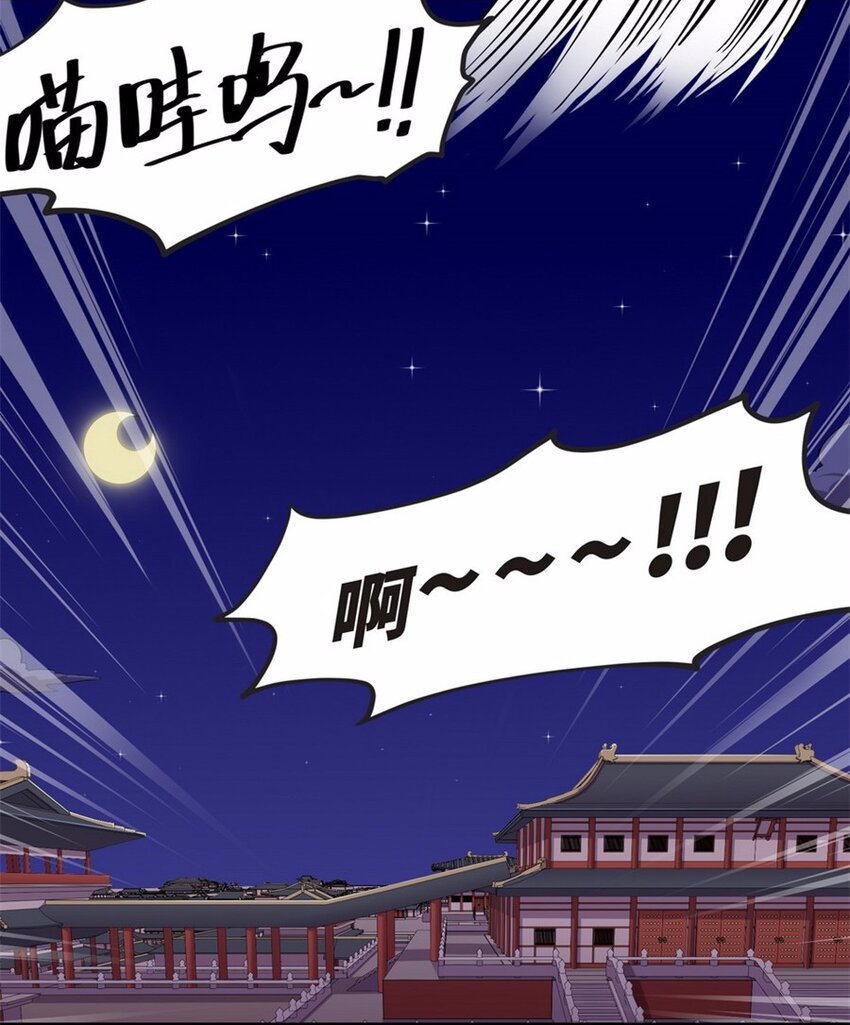 044 养猫（四）41