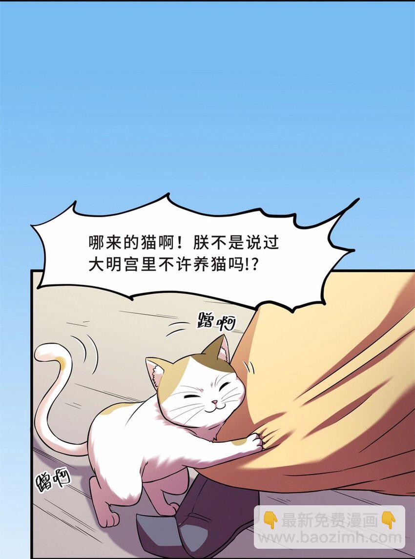 044 养猫（四）54