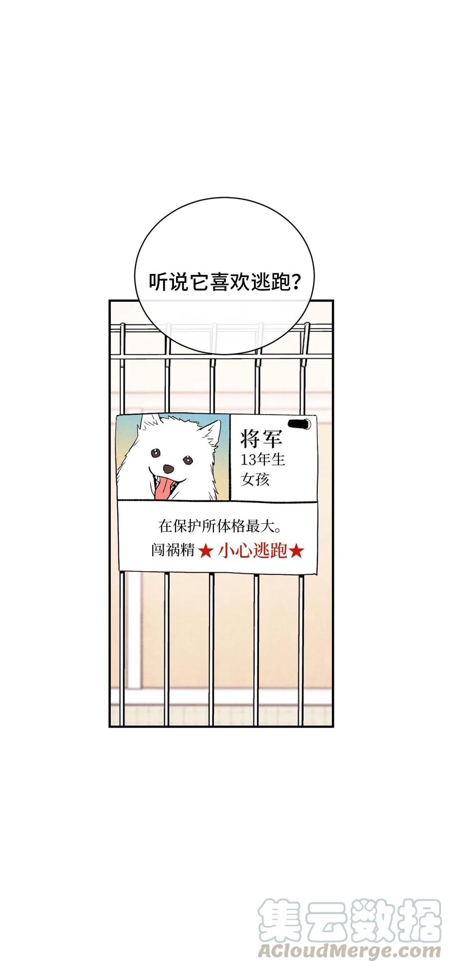 10 这家伙好可爱42