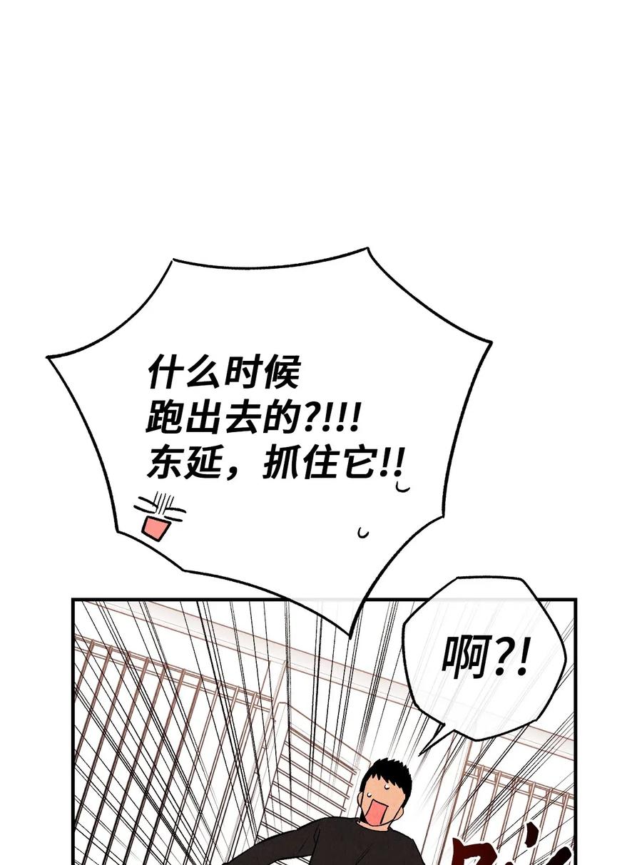 10 这家伙好可爱44