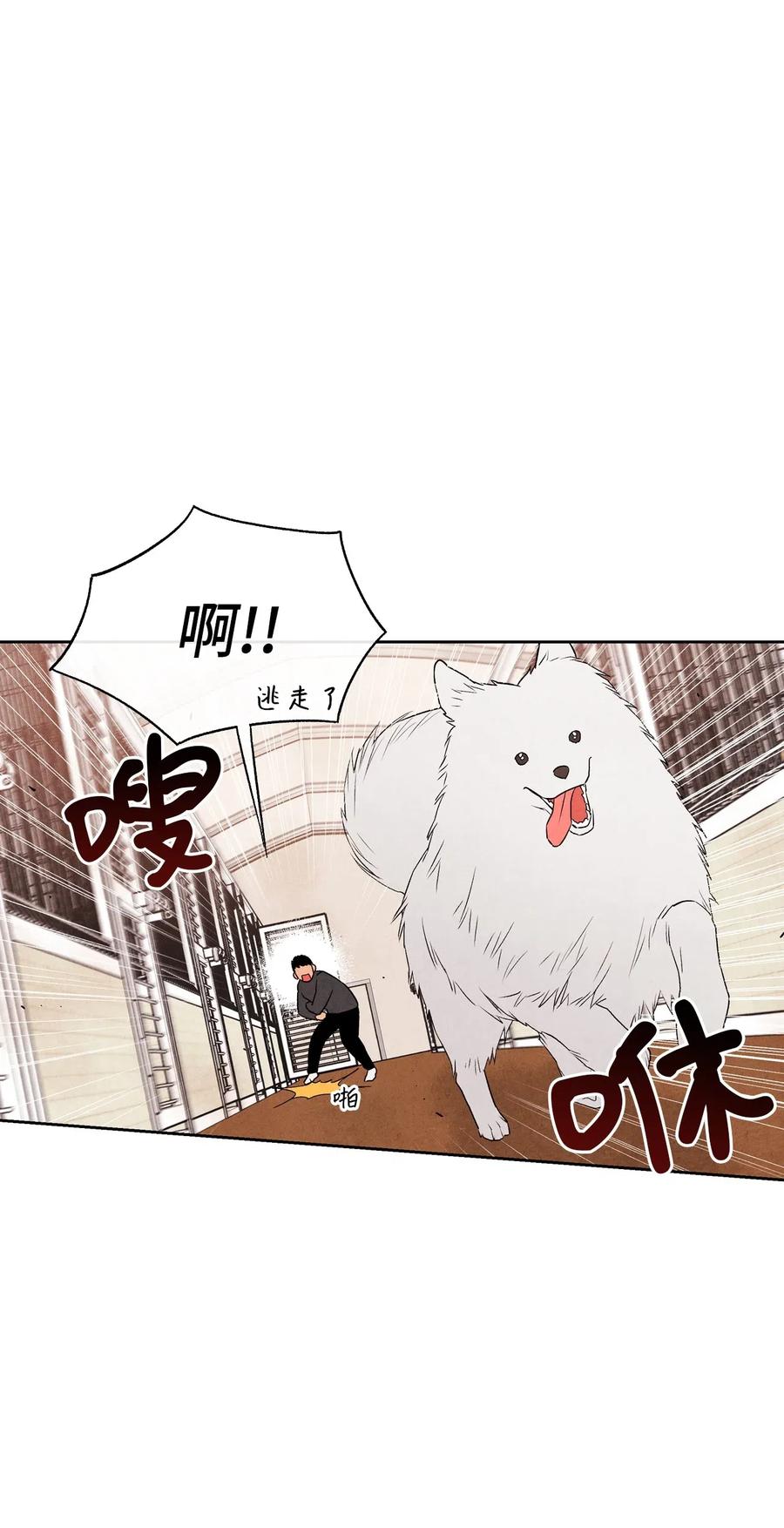10 这家伙好可爱50