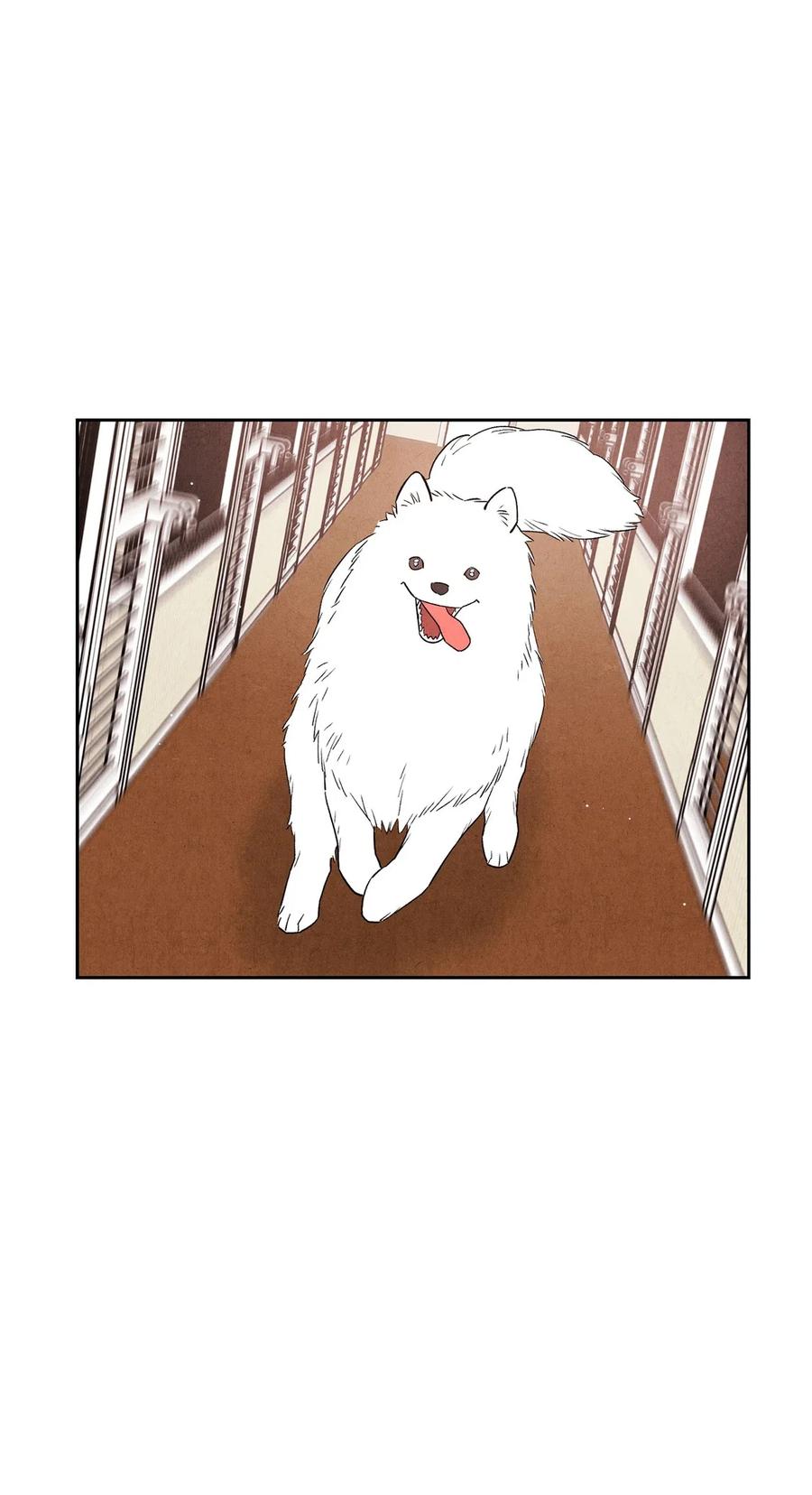 11 他们很要好吗8