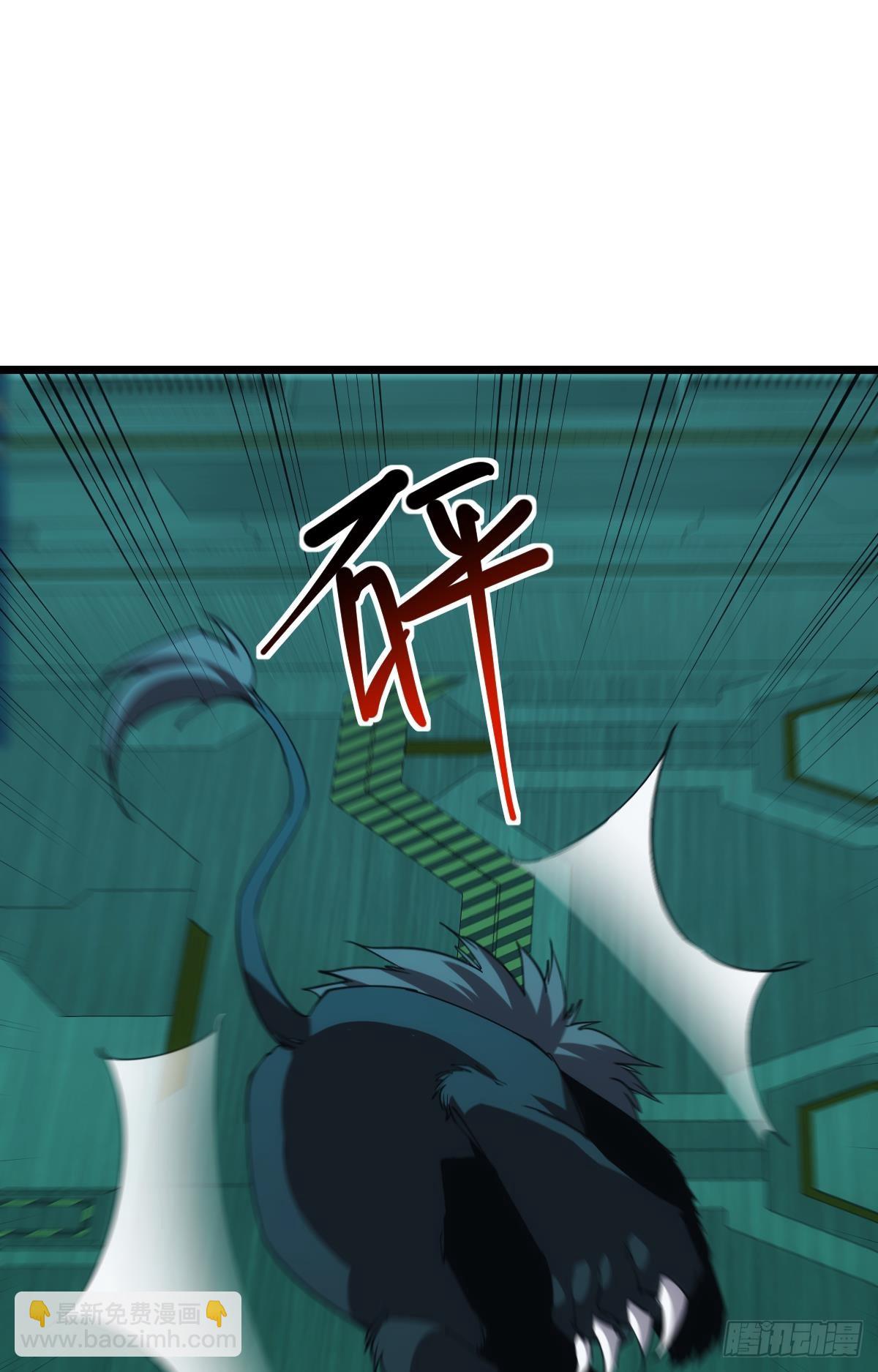 完美的她17