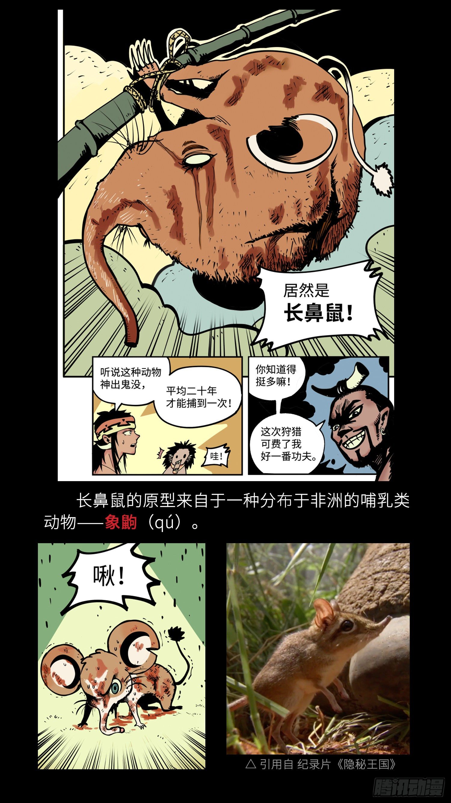 小剧场04 长鼻鼠的秘密3