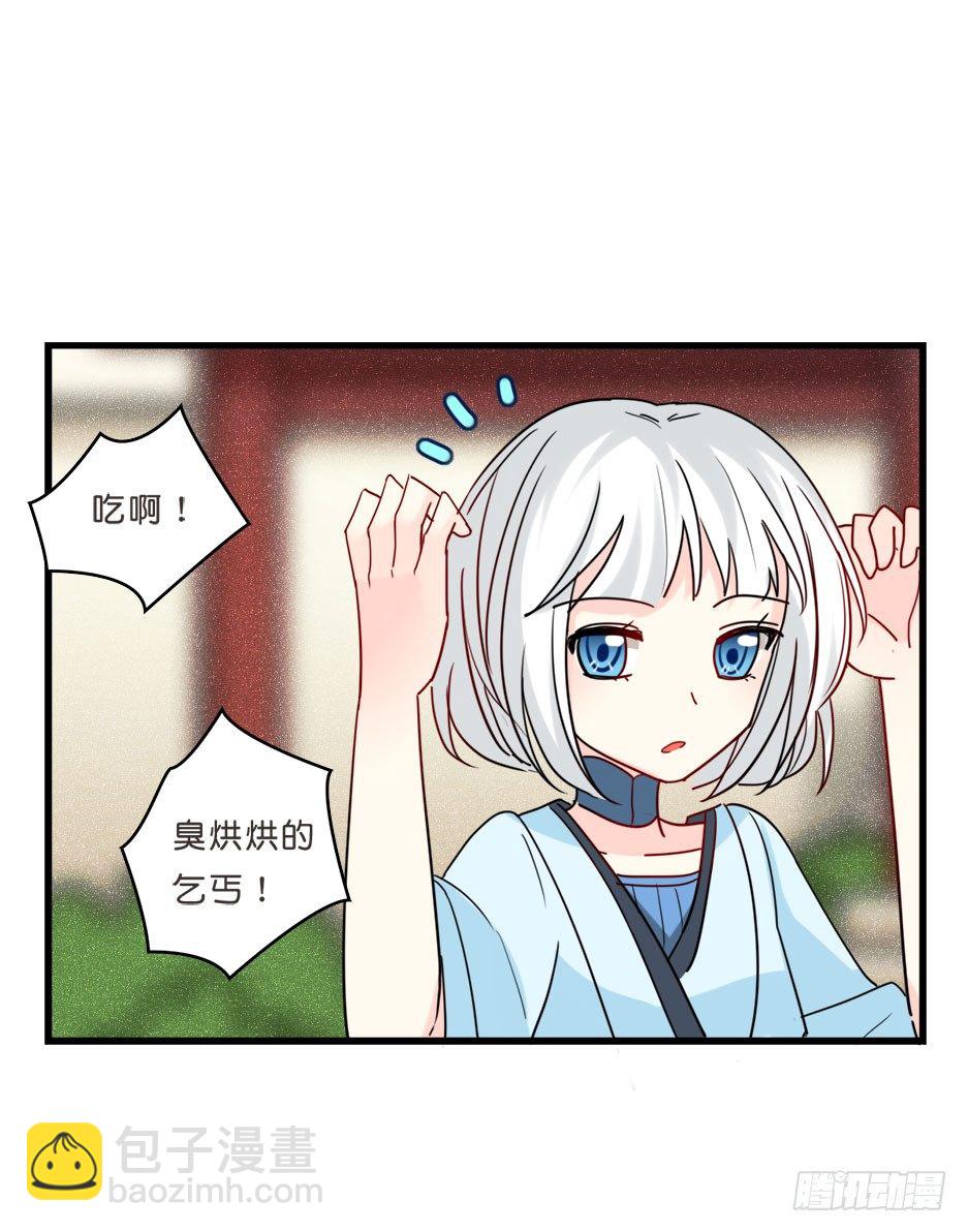 路边捡了个小狼狗14