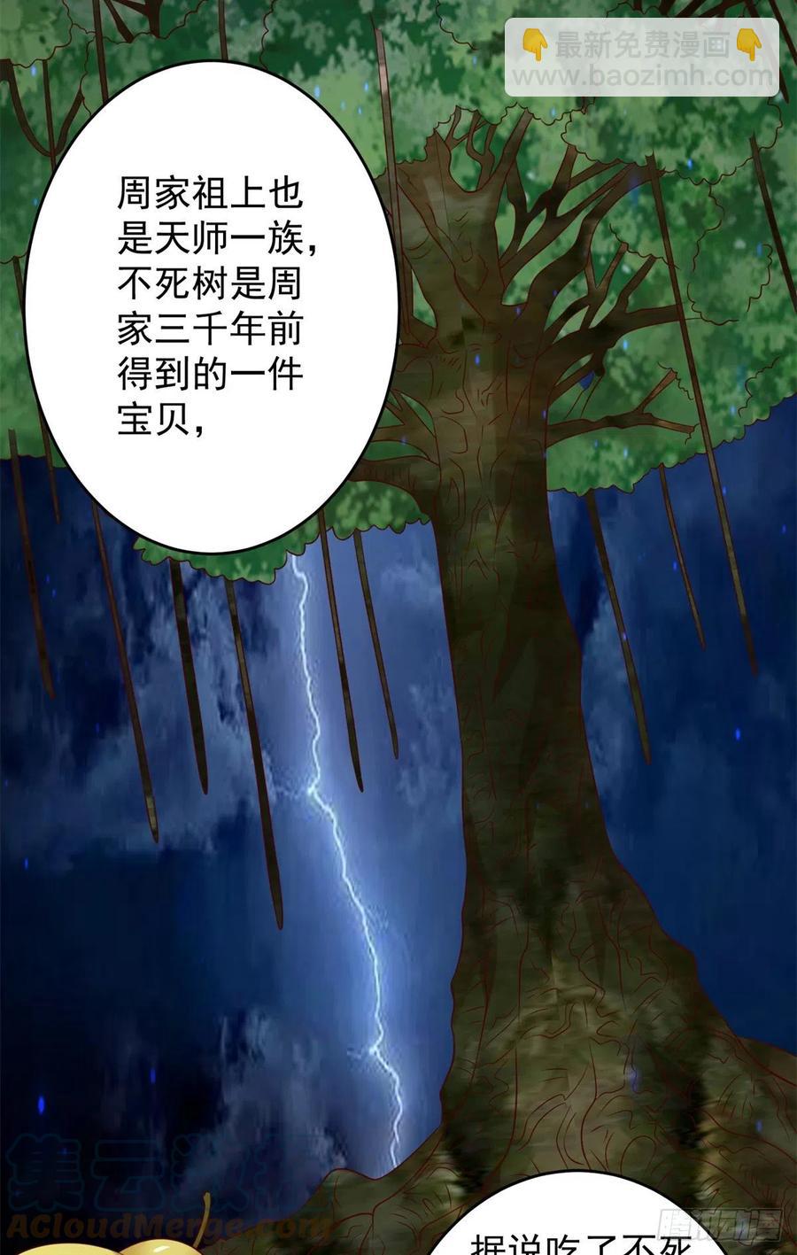 53 不死树15