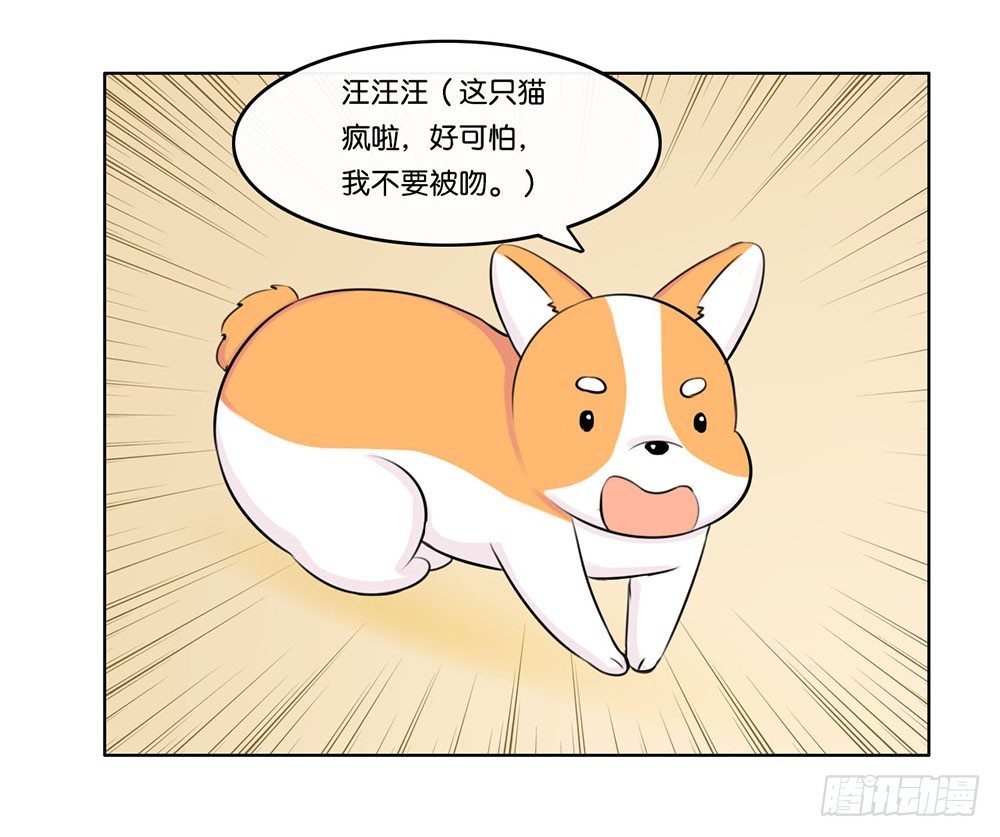 工作的烦恼（下）13