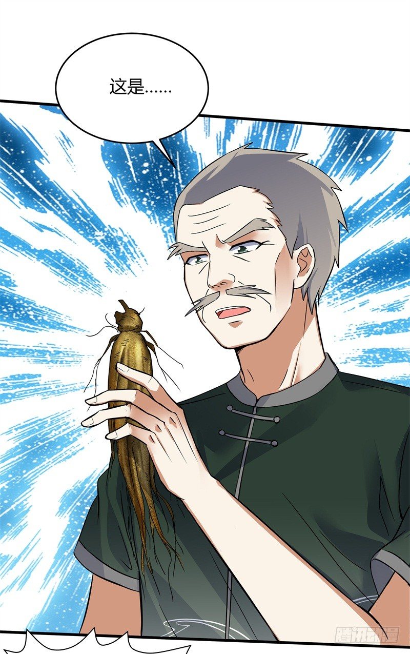 020 你也是修仙者？19