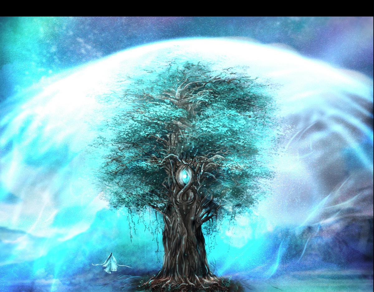 第一章  极光之地13