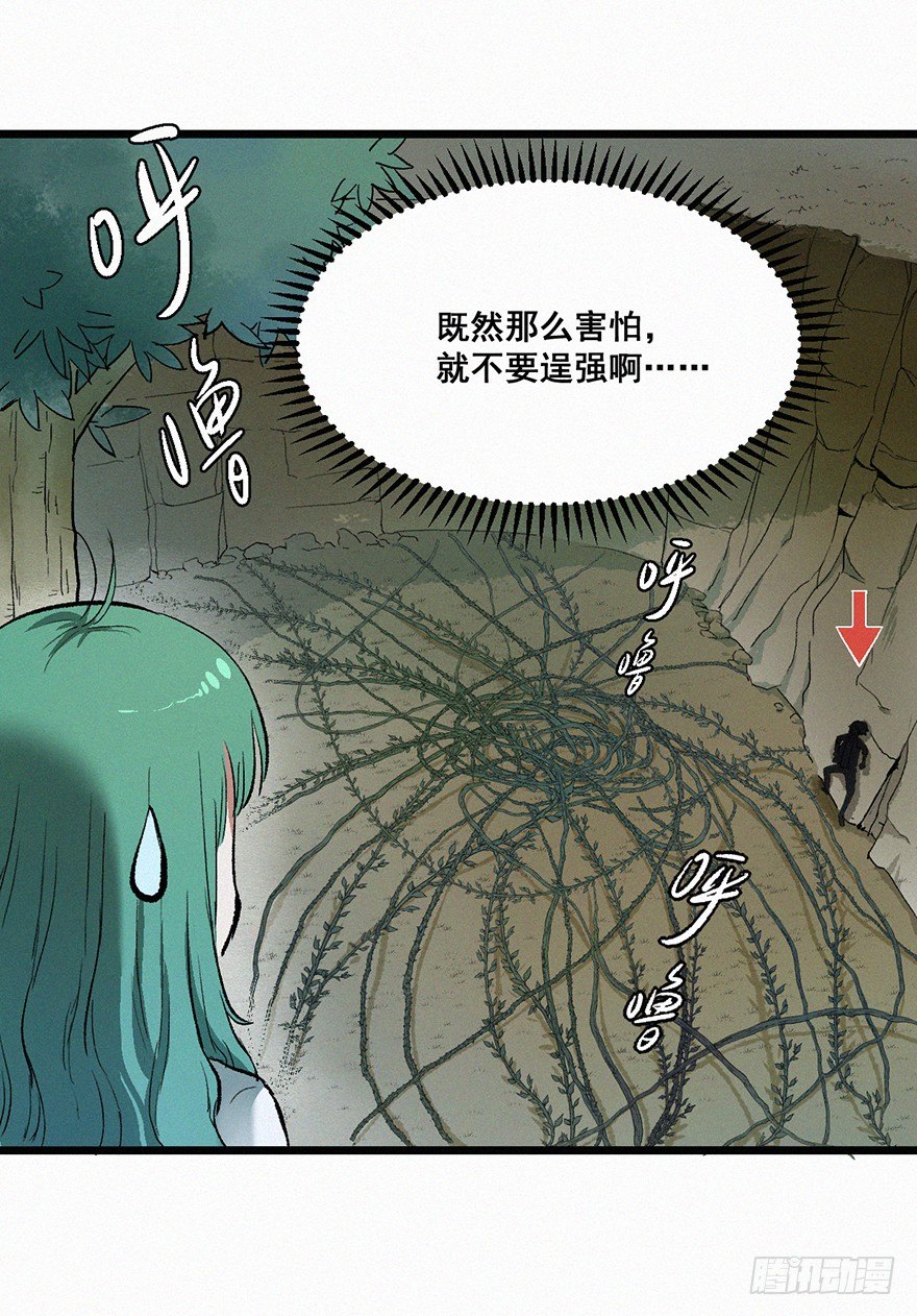 藤蔓13