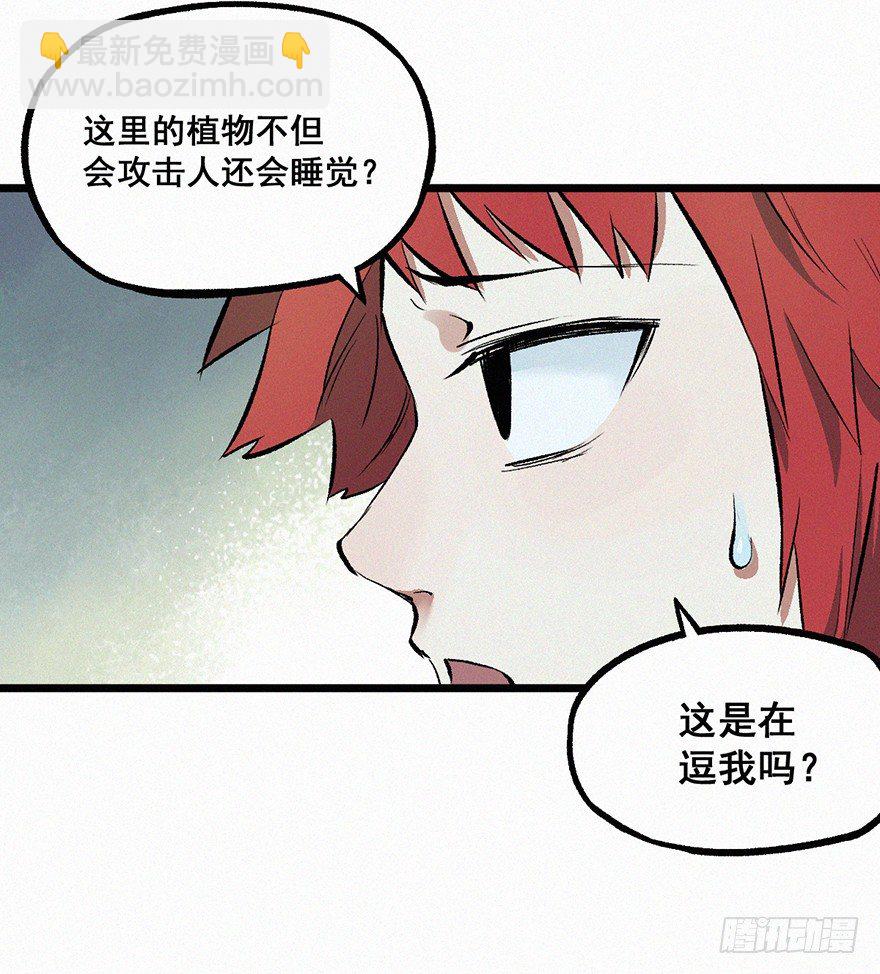 藤蔓5