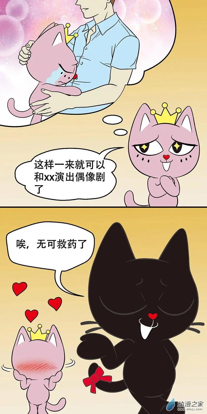 第17回 偶遇星探5