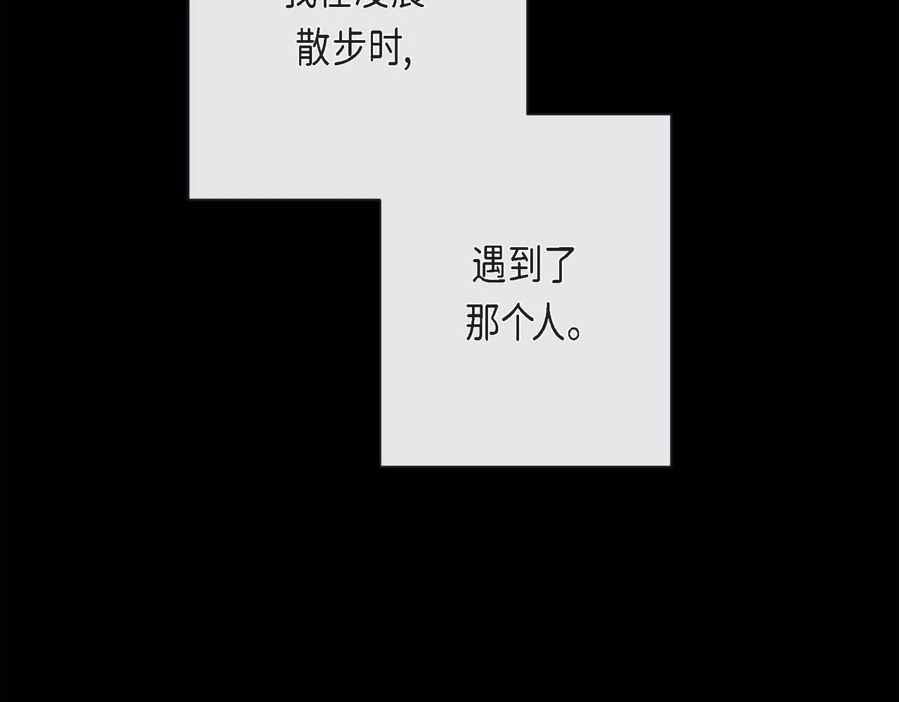 第二季·启·甜甜的酒味38