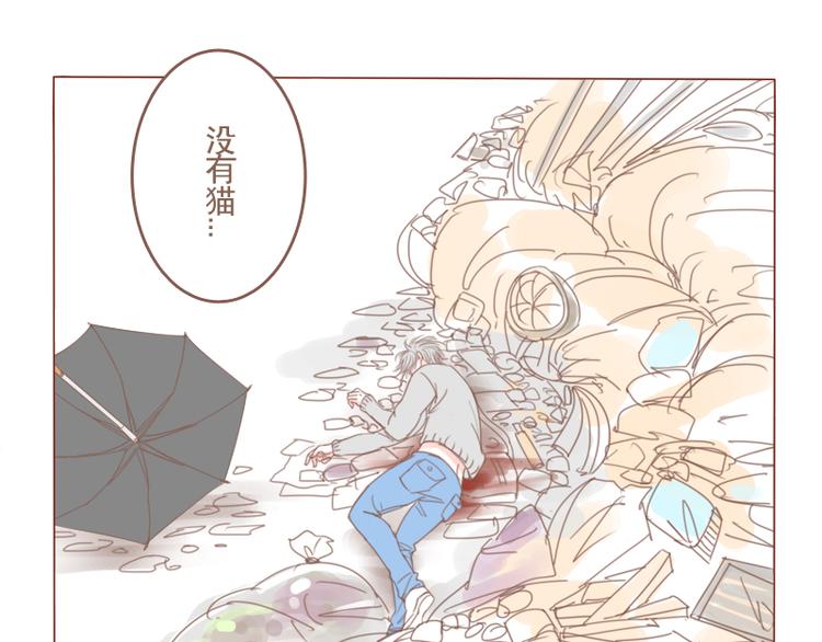 第23话 对不起，没有猫11