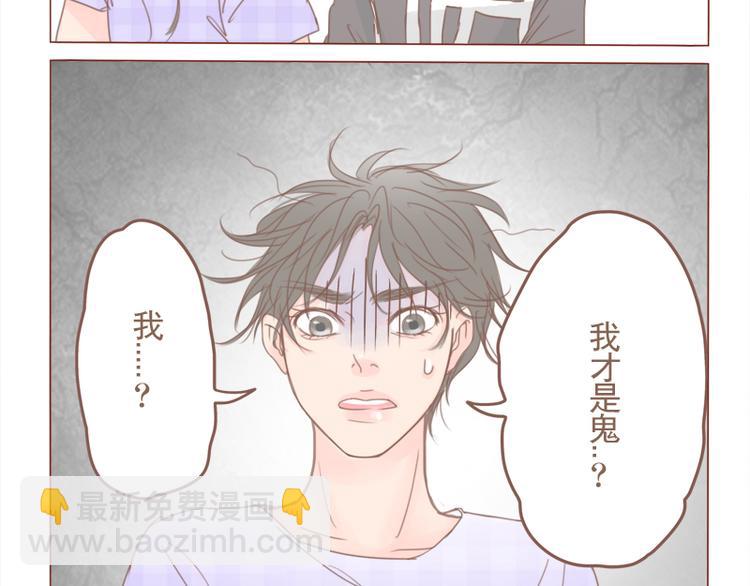 第23话 对不起，没有猫22
