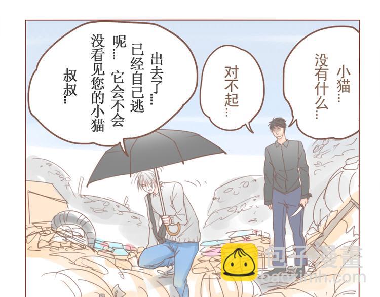 第23话 对不起，没有猫5