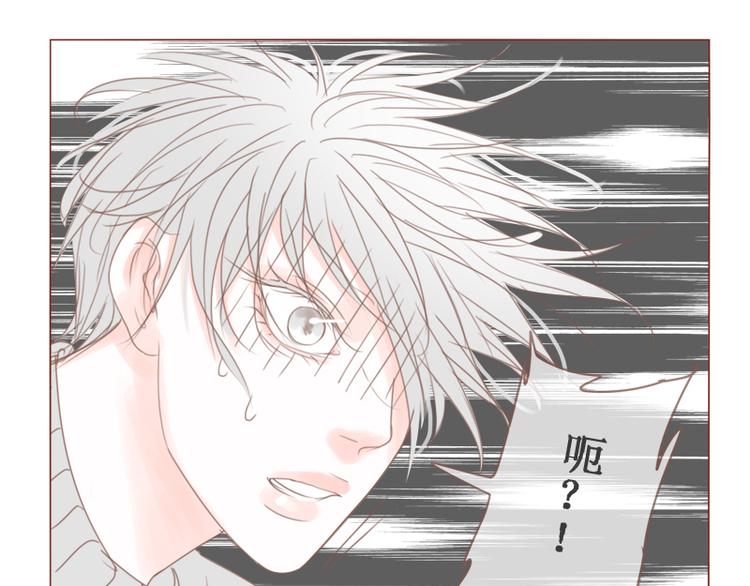 第23话 对不起，没有猫8