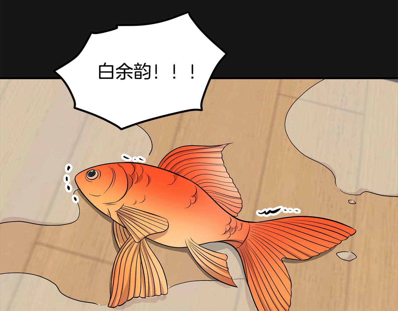 第44话 我的梦想13