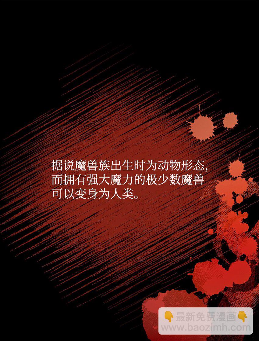 01 我与黑豹的初次见面13