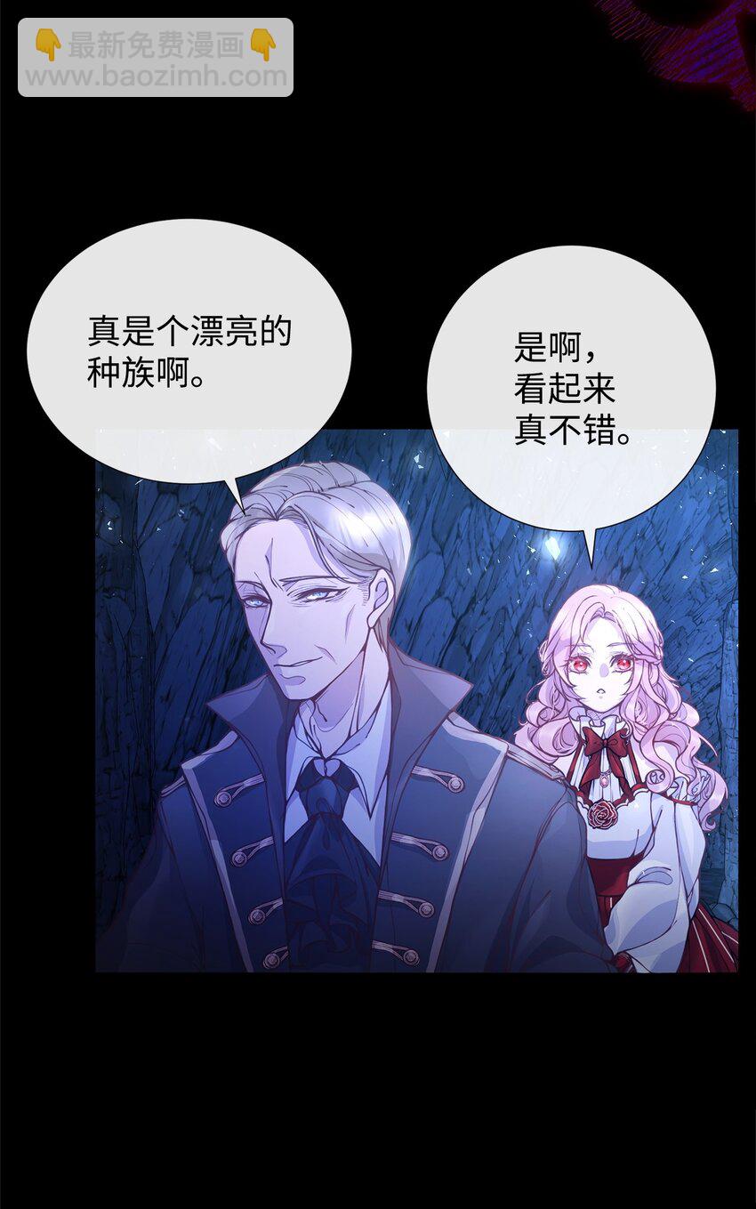 01 我与黑豹的初次见面16