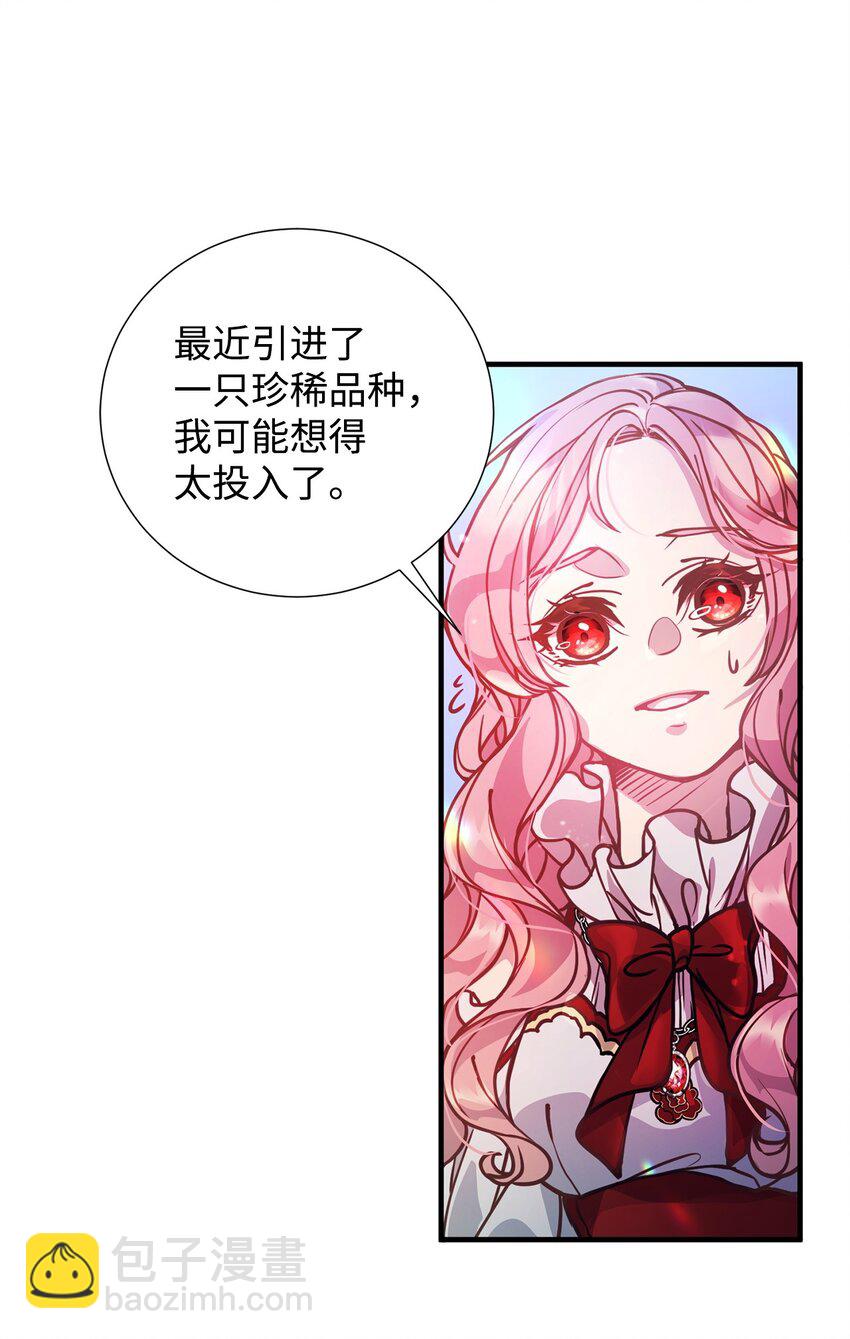 01 我与黑豹的初次见面39