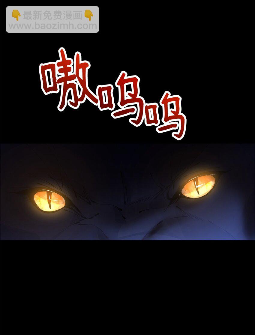 01 我与黑豹的初次见面4