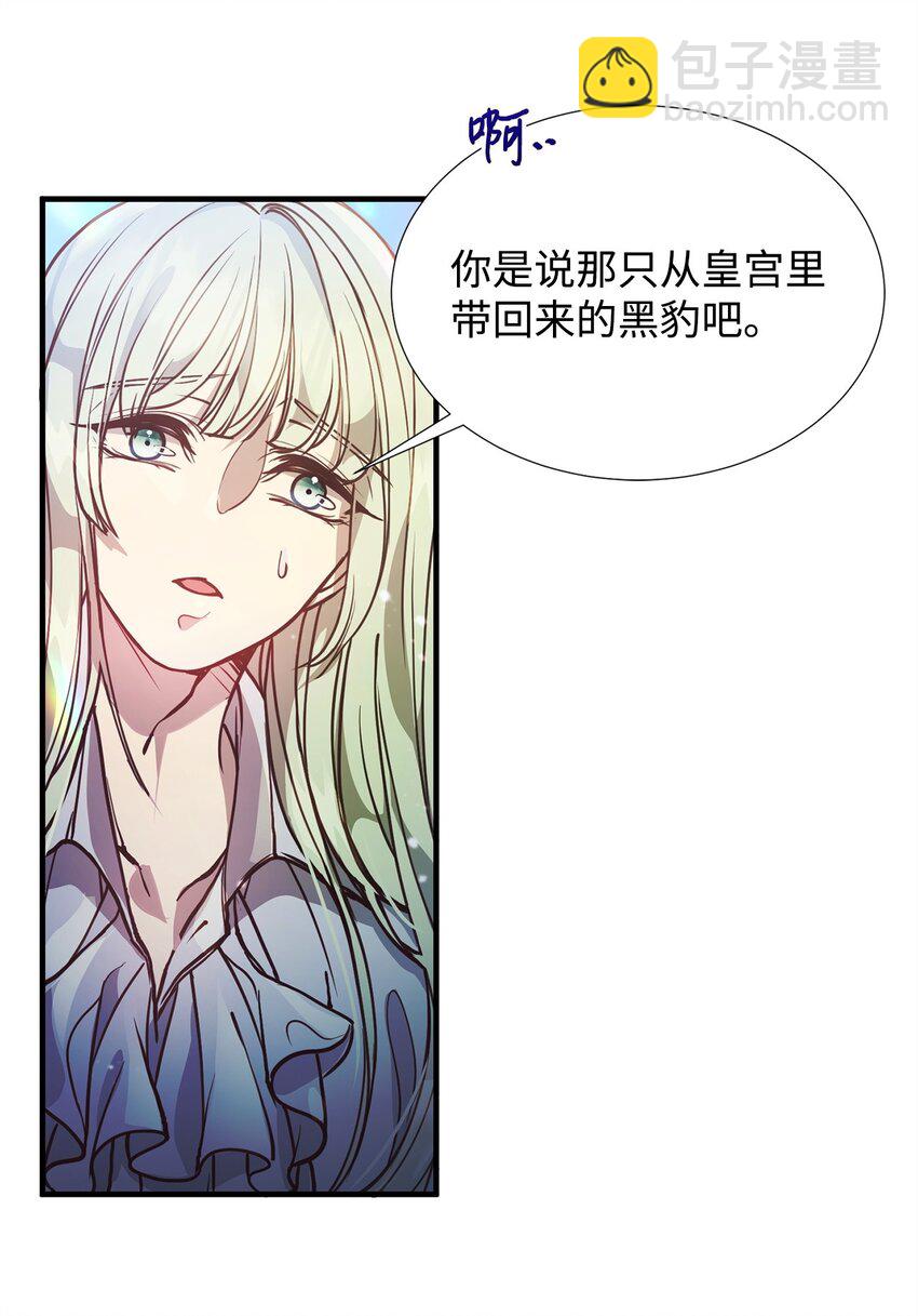 01 我与黑豹的初次见面40