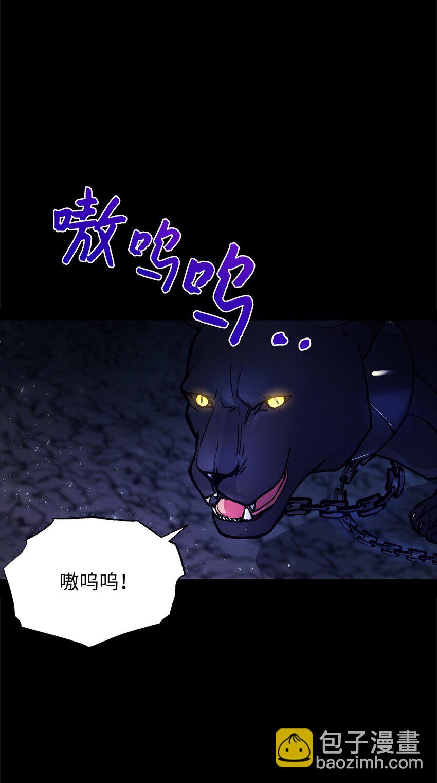 01 我与黑豹的初次见面57