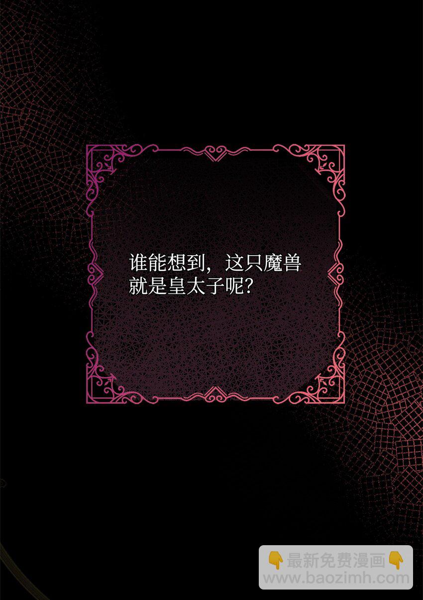 01 我与黑豹的初次见面6