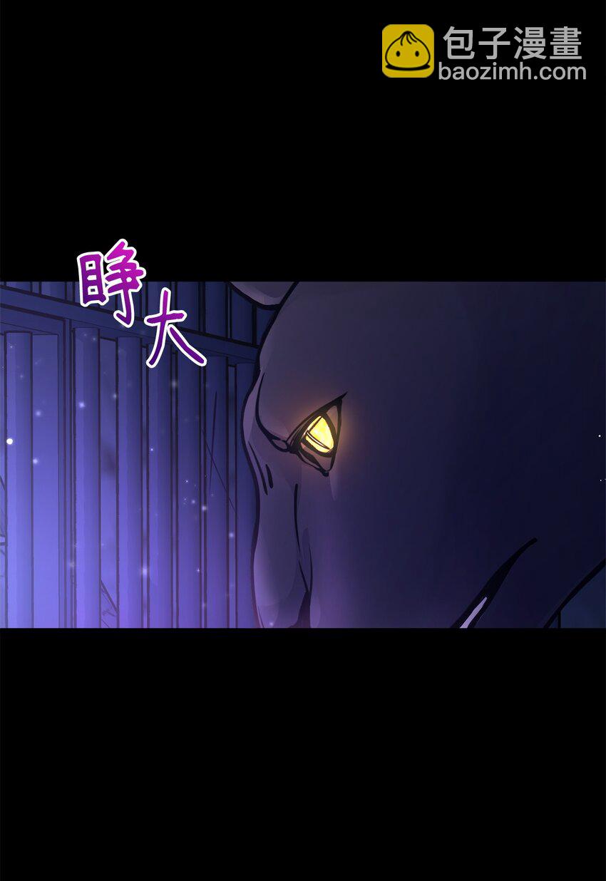 01 我与黑豹的初次见面64