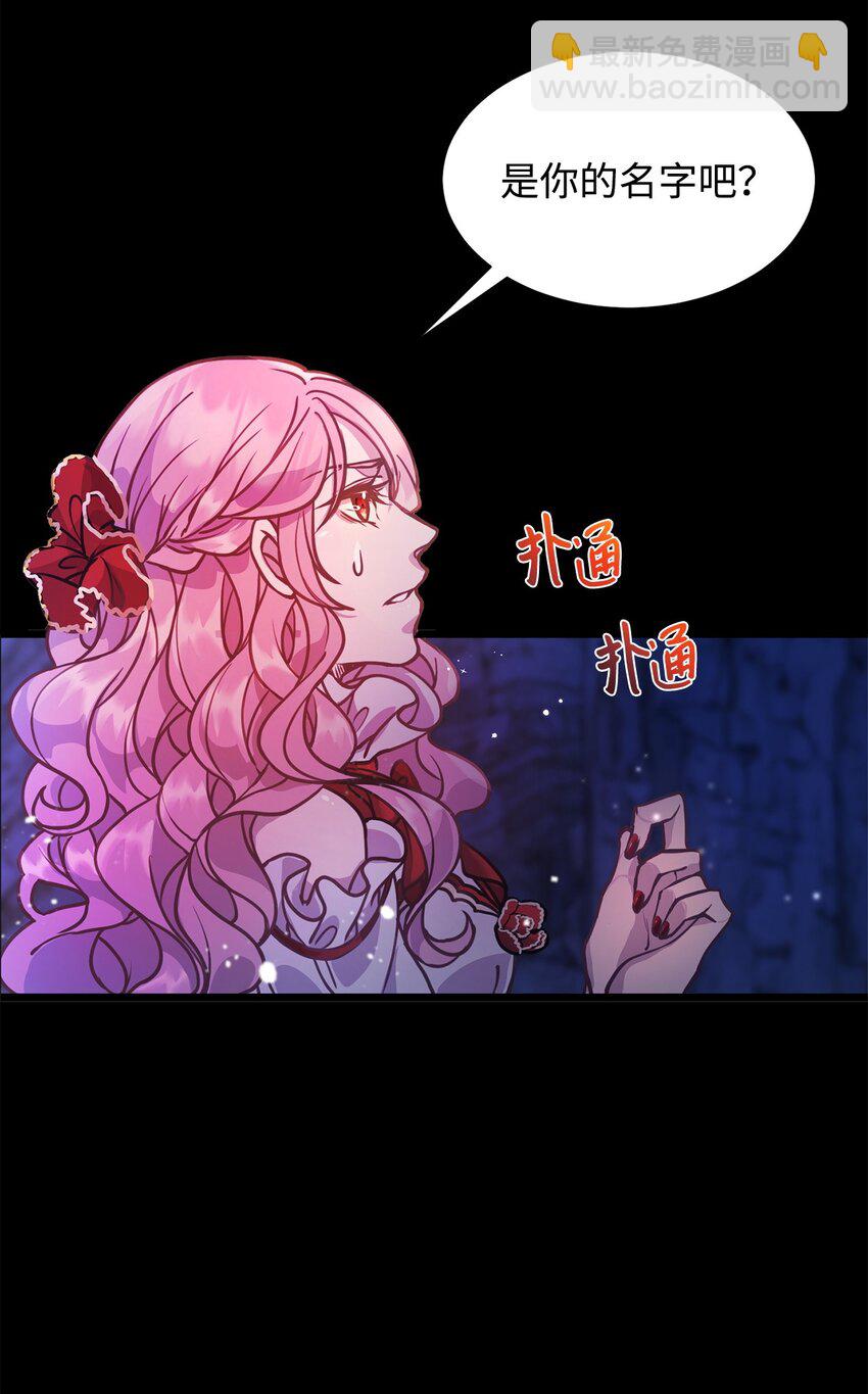 01 我与黑豹的初次见面65