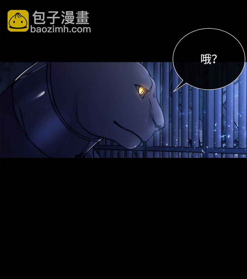 01 我与黑豹的初次见面76