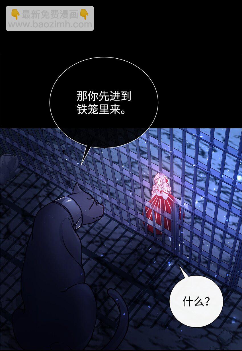 01 我与黑豹的初次见面78