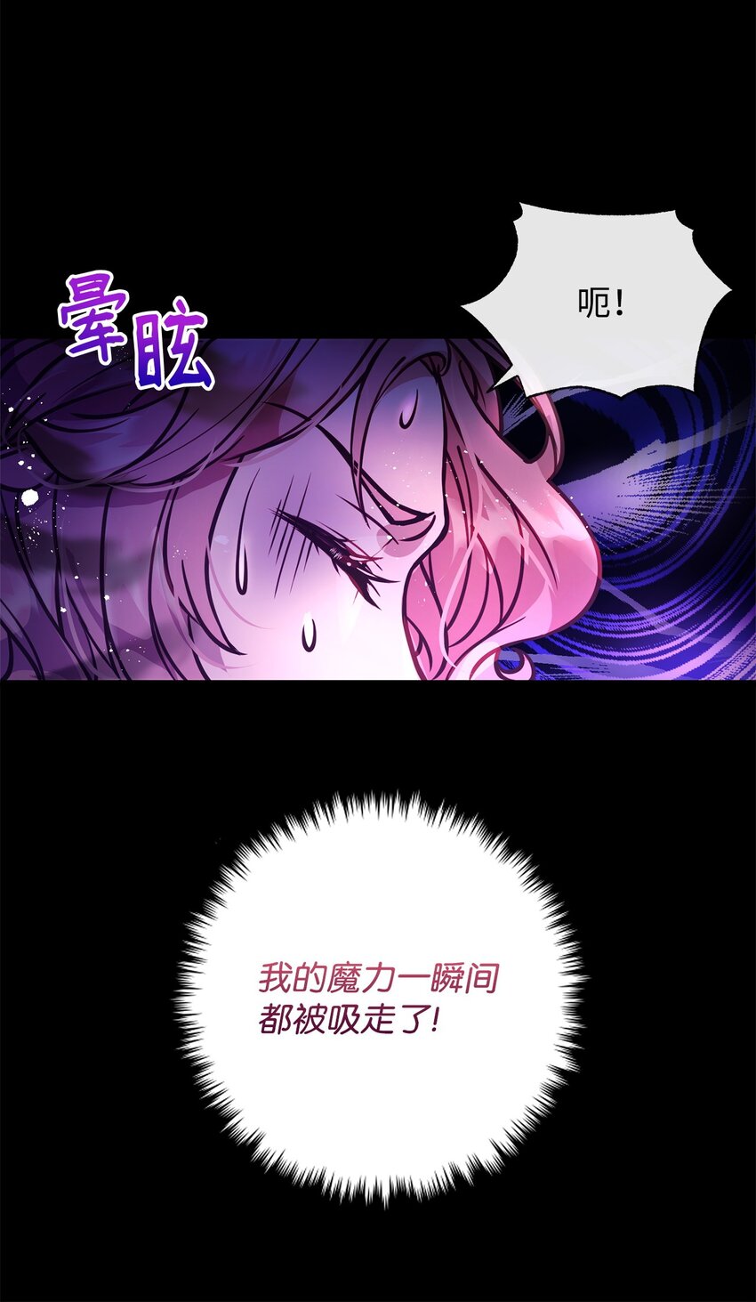 01 我与黑豹的初次见面87
