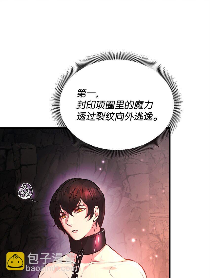 11 听话的大猫26