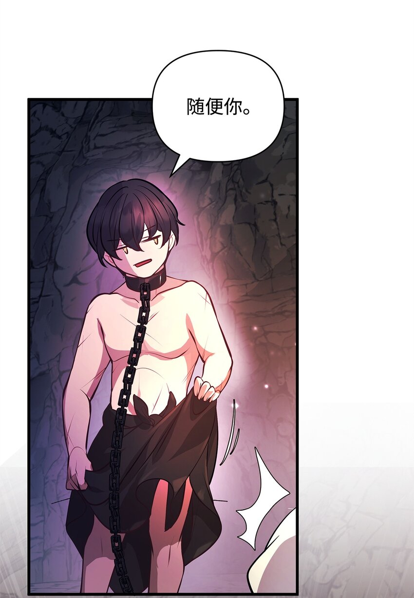 11 听话的大猫29