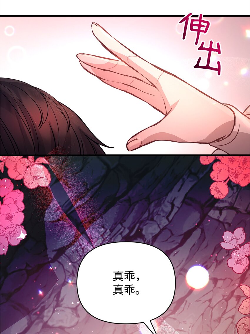 11 听话的大猫39