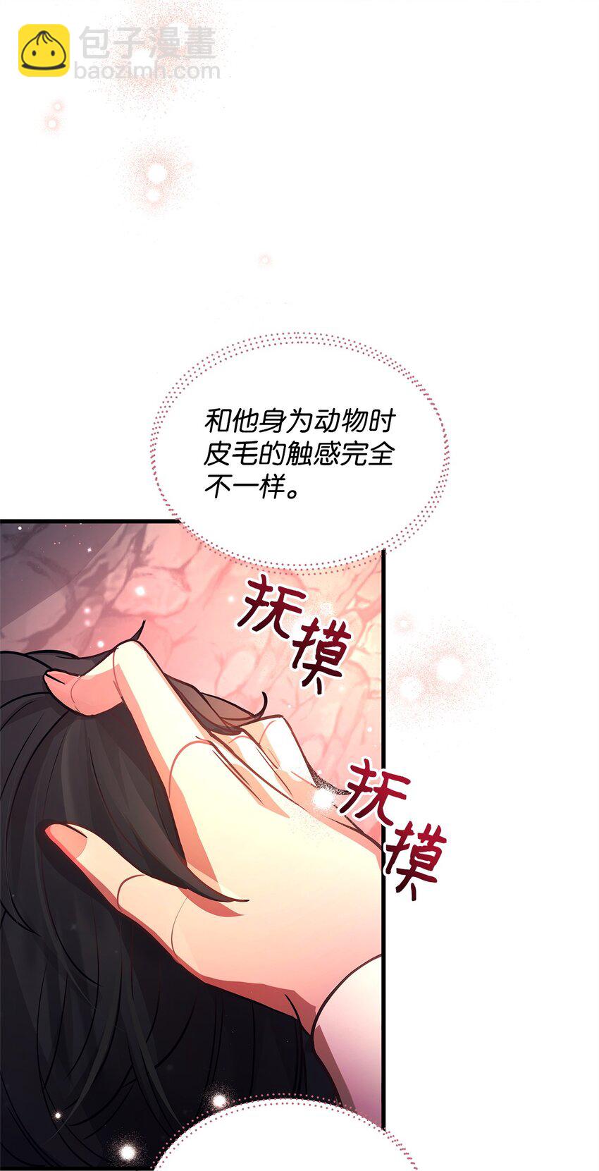 11 听话的大猫41